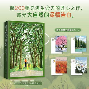 【赠明信片*4】时光倒流一幅画 Paco Yao著绘 作者近三年来创作的200余幅杰出代表作品以四季与自然植物为主题 插画绘画精品画册