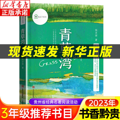 2023贵州书香黔贵3三年级推荐阅读 纸房子系列 青草湾 纸房子系列书籍 成长画卷书籍 儿童课外阅读童年诗意 纯美故事 长篇小说