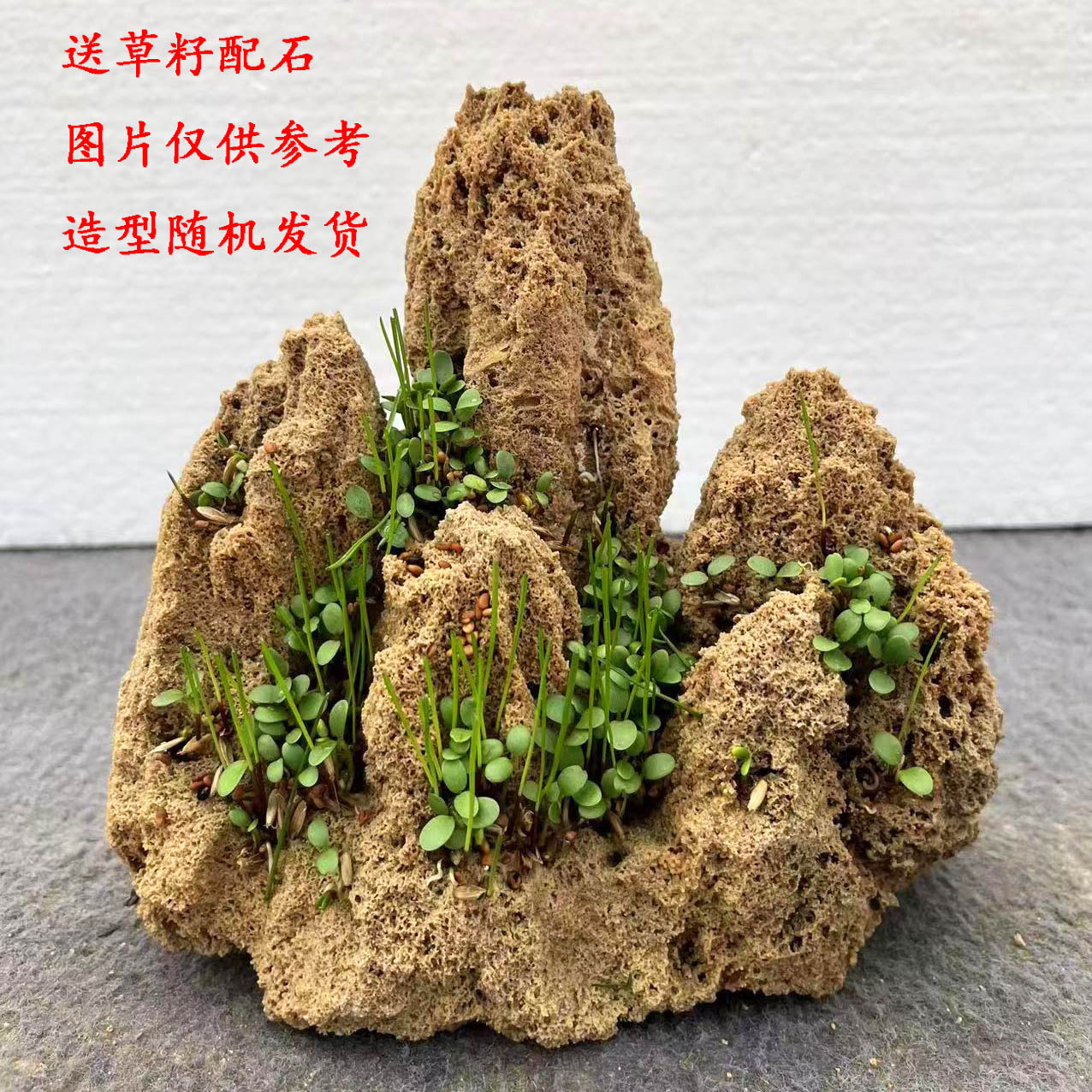 鱼缸假山造景真石头吸水石微景观装饰小型上水石盆景奇石摆件材料 鲜花速递/花卉仿真/绿植园艺 其它园艺用品 原图主图