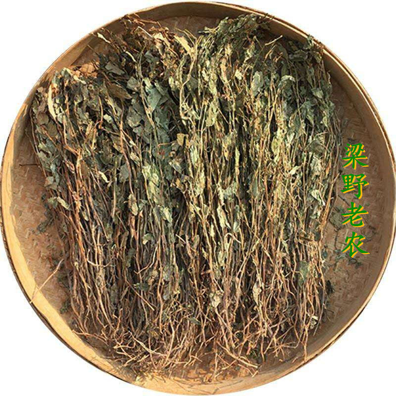 热销福建鱼腥草 凉茶 山区自晒茶鱼星草新鲜干品 折耳根包邮
