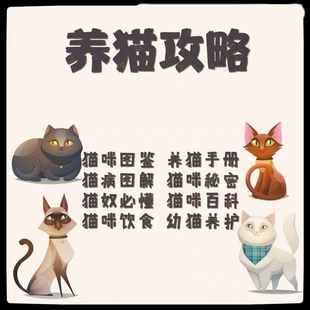 养猫攻略技巧教程宠物猫饲养技术猫病经验资料必备手册电子版 素材