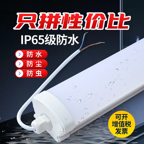 LED全塑三防灯冷库专用一体化长条型防尘防潮户外IP65防水日光灯