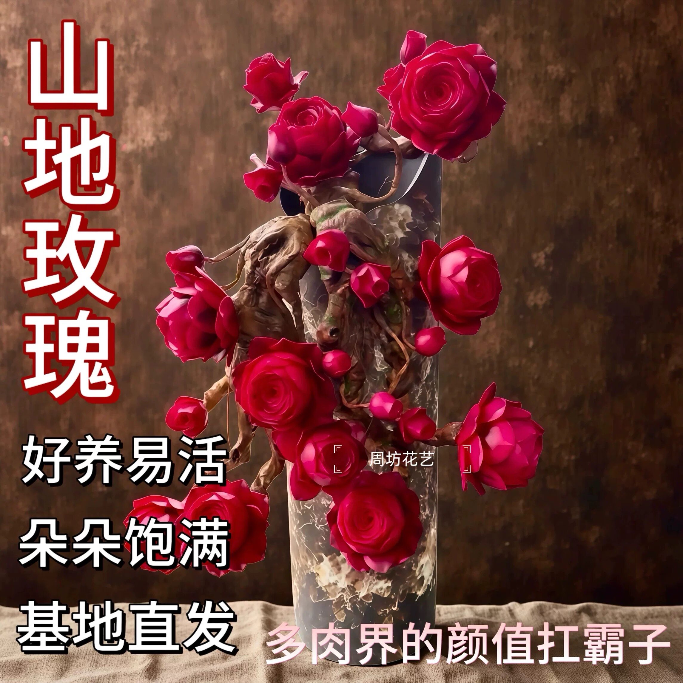 山地玫瑰水蜜桃酒杯特大老桩多肉植物盆栽室内阳台水培桌面绿植