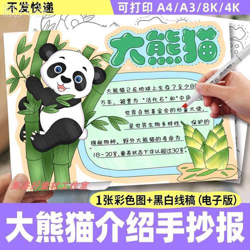 国宝大熊猫介绍手抄报电子模板 动物观察记录日记保护生物多样性