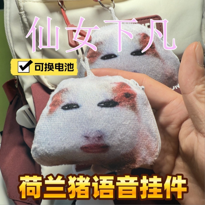 碧昂斯人脸荷兰猪猪妞仙女下凡语音挂件按压发声毛绒玩偶玩具挂饰