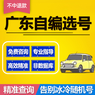 广东广州深圳东莞佛山中山车牌选号自选车牌新能源车牌号新车选号