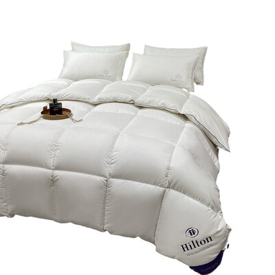 Hotel Feather Velvet Quilt Spring and Autumn Bedding Imitati