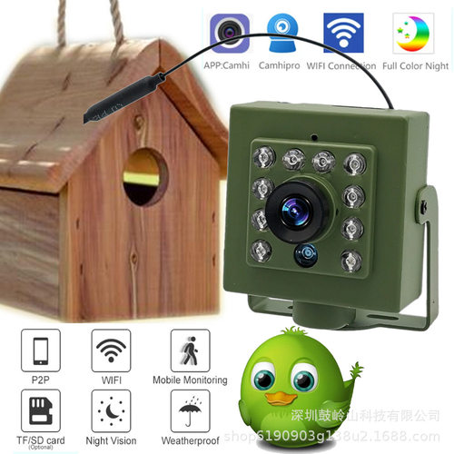 Bird cage camera, bird watching, wireless WiFi network, high