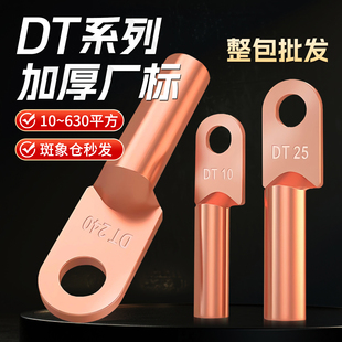 斑象 厂标DT铜鼻子紫铜铜线鼻子B级加厚电缆铜鼻子接线端子铜线耳