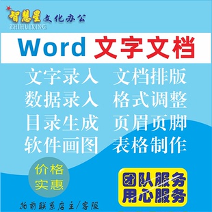 Word排版调整格式修改文本编辑目录入设计页眉脚制作图表打字docx
