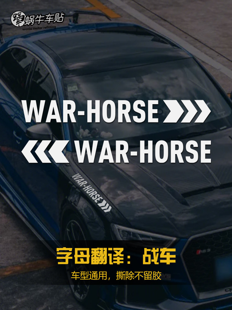 汽车前翼子板贴纸车门后叶子板改装车贴 适用特斯拉MODEL3极氪001