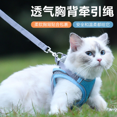 猫咪牵引绳防挣脱外出专用透气胸背牵引绳春夏外出背心式溜猫神器