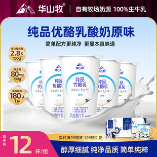 华山牧纯品优酪乳酸奶180g*12杯多口味可选营养国企出品低温冷链
