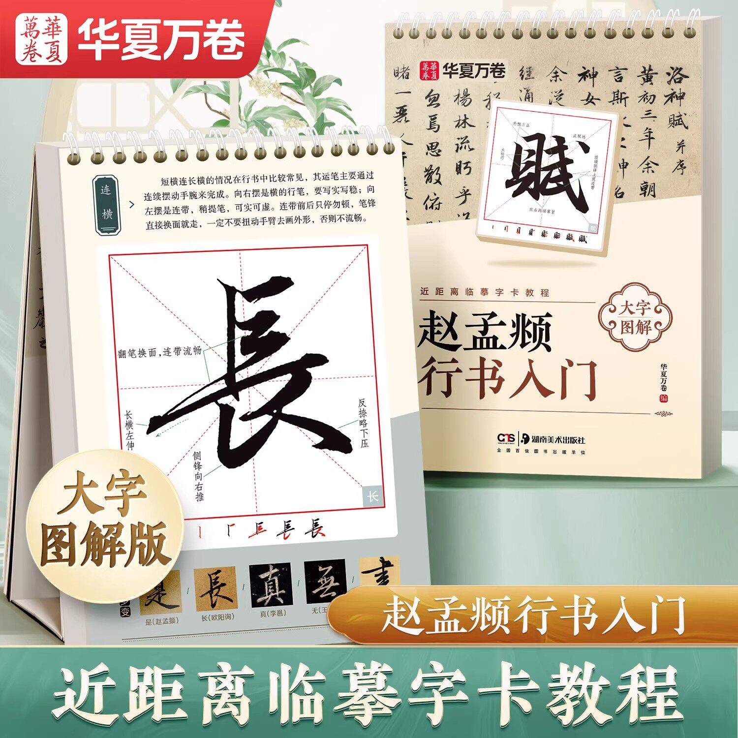 行书字帖赵孟頫行书入门毛笔字帖成人练字经典碑帖初学者毛笔书法入门教程赵孟俯洛神赋前后赤壁赋华夏万卷米字格近距离临摹字卡