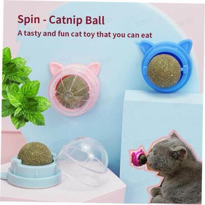 Catnip Wall Ball Cat Toys Pet Toys for Cats Clean Mouth Prom