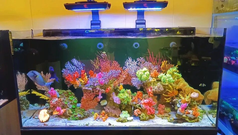 太平洋飓风TF150台风系列全光谱海缸珊瑚灯日出日落LED灯APP控制
