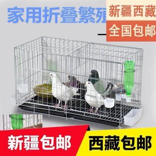 新疆西藏包邮加粗鸽子笼子鸽子用品用具鸽子笼大号鸡笼家用鸽
