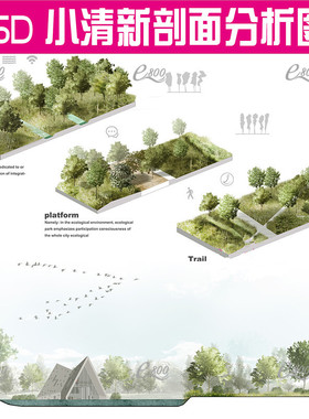 CP19景观小清新ps立面剖面分析图植物素材psd剖透海绵滨水竞赛风