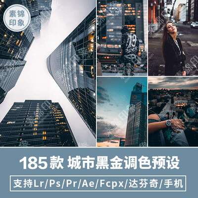 LR预设工业风城市黑金街拍电影PS/PR/FCPX/达芬奇/AE/LUT调色滤镜