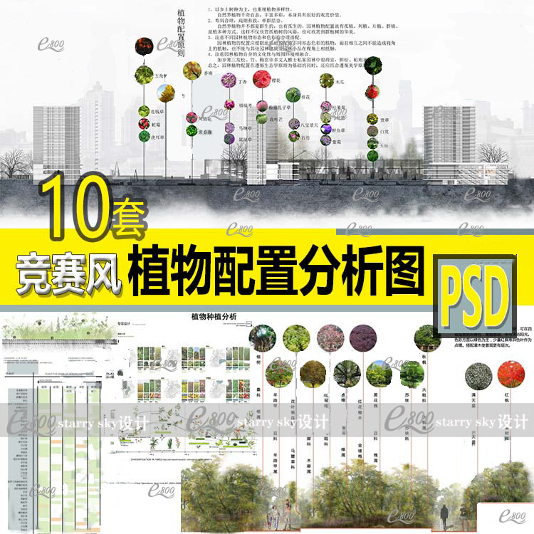 植物配置分析图 种植搭配 psd分层 景观园林园艺建筑设计素材