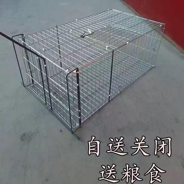 鸽子笼子家用养殖户外天落笼