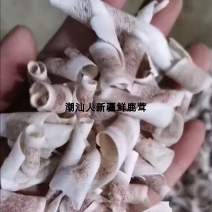 正宗新疆鹿茸马鹿角熟茸片脱角干茸片中药材骨胶片熬汤泡酒鹿角片