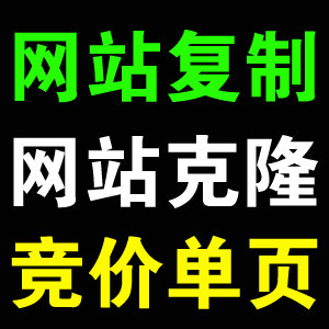 竞价单页制作/竞价页扒站修改/手机竞价单页/网页/订单系统