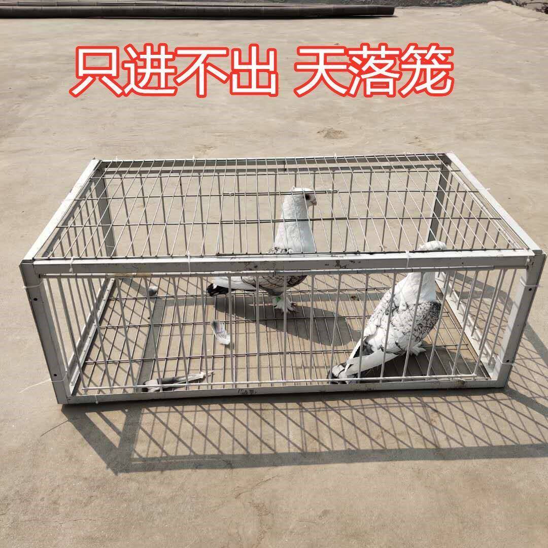 兔子捕捉器野外抓兔子神器加密鸽子笼鸡笼兔子笼小型动物自撞笼有