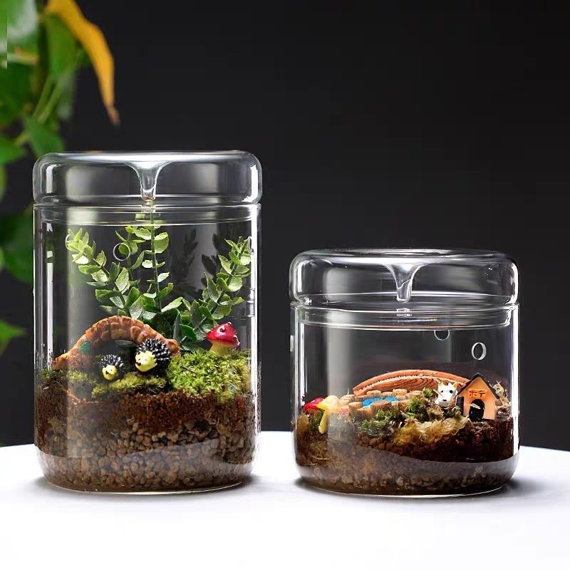 集露瓶微景观玻璃水滴生态瓶迷你露集杯苔藓桌面植物办公室创意盆