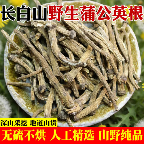 长白山纯野生蒲公英根特级干无硫