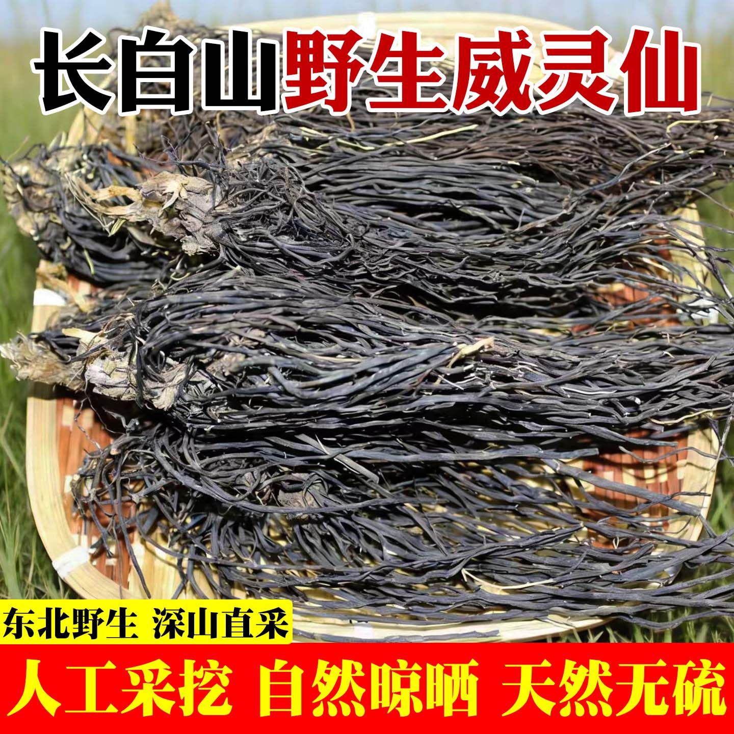 东北长白山野生威灵仙中药材正品500g威灵仙粉新鲜整株酒泡脚药包