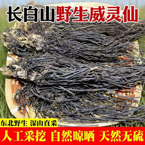 东北长白山野生威灵仙中药材