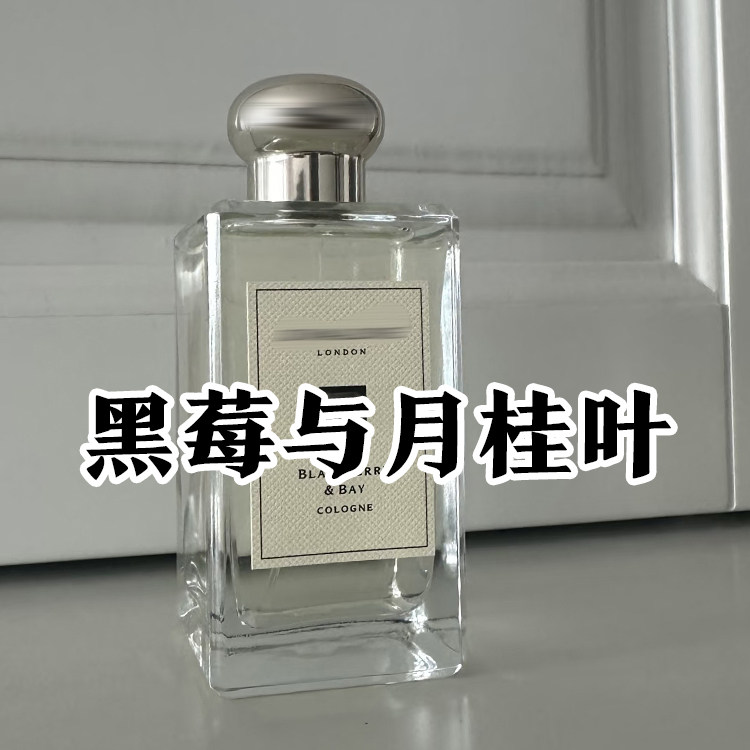 小众沙龙香黑莓与月桂叶男女香水