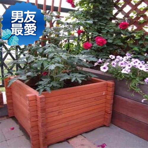 Diy菜园多少钱 Diy菜园价格 小麦优选