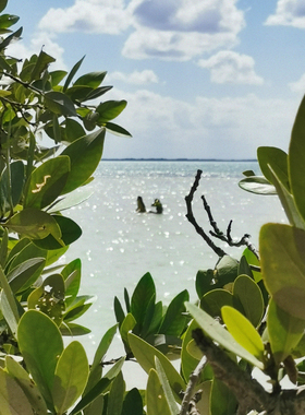 【帕尔玛之水】CANDLEWORKS香薰精油香薰蜡烛DIY材料香精香料5组