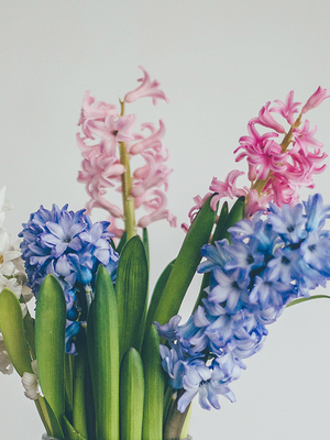 【风信子】CANDLEWORKS香薰精油