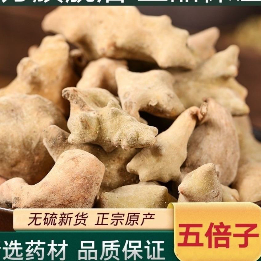 五倍子 正品中药材野生肚倍百虫仓百药煎可磨粉可搭蛇床子包邮
