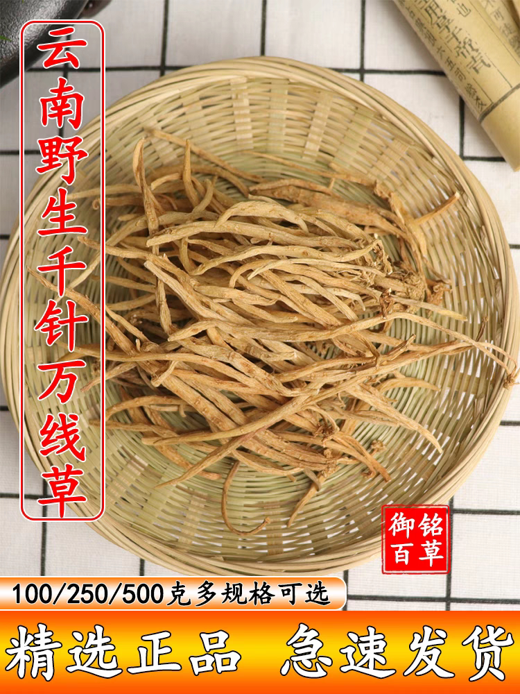 云南野生中药材千针万线草 麦参 繁缕根 筋骨草 大鹅肠菜