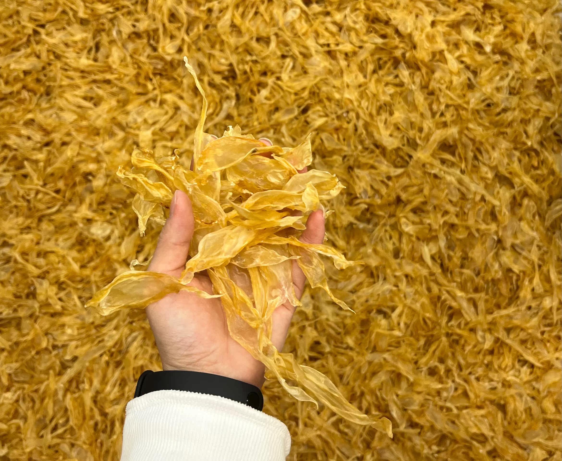 鱼胶花胶干货500g正品深海安南竹叶胶鱼肚鱼泡鱼鳔干孕妇月子滋补