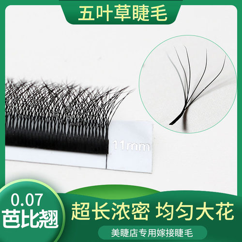 欧美五叶草超卷翘快速嫁接浓密