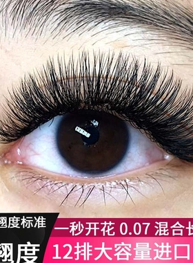 超自然C卷翘日韩多根0.07一秒开花种植浓密12混装美睫仿真假睫毛