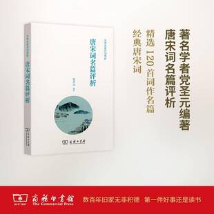 唐宋词名篇评析书党圣元唐宋词诗歌欣赏 文学书籍