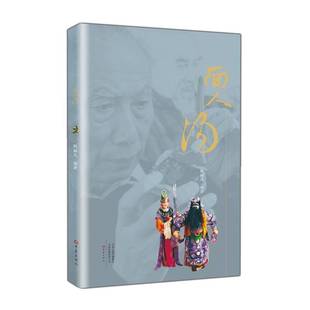 面人汤书杨丽凡面塑民间工艺介绍中国 艺术书籍