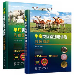 牛羊病诊断与治疗养牛羊技术书籍牛羊病防治实用手册兽医书 套装 2册 牛病类症鉴别与诊治彩色图谱 羊病类症鉴别与诊治彩色图谱