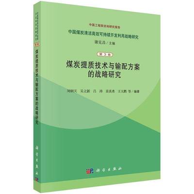 煤炭提质技术与输配方案的战略研究书刘炯天等煤矿开采研究中国 工业技术书籍