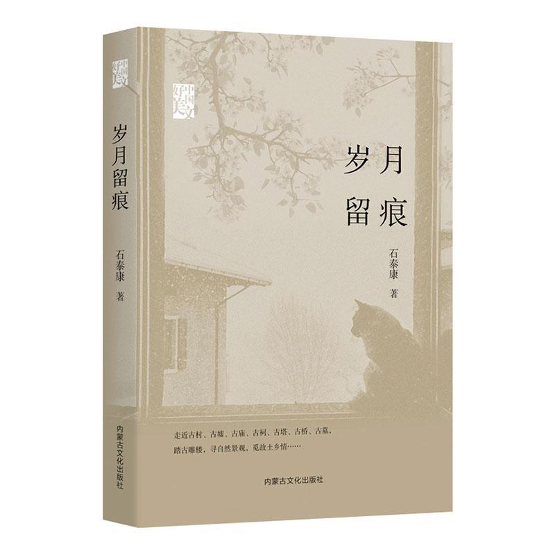 岁月留痕书石泰康  文学书籍