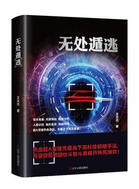 无处遁逃书王文杰  小说书籍