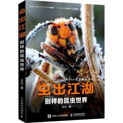 虫出江湖 别样的昆虫世界书王江昆虫图集普通大众自然科学书籍