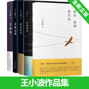 爱你就像爱生命 王小波经典 寻找无双 万寿寺 黄金时代 杂文 王小波作品集 文集全集爱情现代当代文学书籍畅销书 白银时代