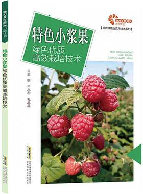 小浆果绿色栽培技术书宁志怨  农业、林业书籍